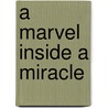 A Marvel Inside A Miracle door Kate Calleen