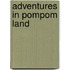Adventures in Pompom Land