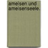 Ameisen Und Ameisenseele.