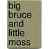 Big Bruce and Little Moss