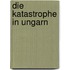 Die Katastrophe in Ungarn