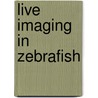 Live Imaging in Zebrafish door Karuna Sampath