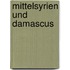 Mittelsyrien und Damascus