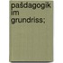 Pašdagogik im grundriss;