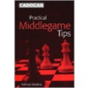 Practical Middlegame Tips by Edmar Mednis