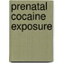 Prenatal Cocaine Exposure