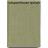 Schuppenflossen-Lippfisch by Jesse Russell