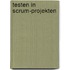 Testen in Scrum-Projekten