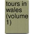 Tours in Wales (Volume 1)