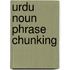 Urdu Noun Phrase Chunking