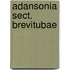 Adansonia sect. Brevitubae