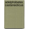 Adelphobates castaneoticus by Jesse Russell