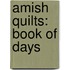 Amish Quilts: Book Of Days
