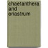 Chaetanthera and Oriastrum