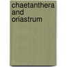 Chaetanthera and Oriastrum door Alison Davies