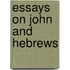 Essays on John and Hebrews