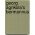 Georg Agrikola's Bermannus
