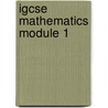 Igcse Mathematics Module 1 door University Of Cambridge Local Examinatio
