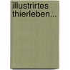 Illustrirtes Thierleben... door Hermann Dümling