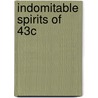 Indomitable Spirits of 43c door Mr W. Tom Gleeson
