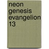 Neon Genesis Evangelion 13 door Yoshiyuki Sadamoto