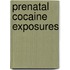 Prenatal Cocaine Exposures