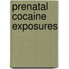 Prenatal Cocaine Exposures by Konkol