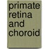 Primate Retina and Choroid