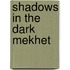 Shadows In The Dark Mekhet