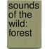 Sounds of the Wild: Forest