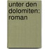 Unter den Dolomiten: Roman