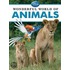 Wonderful World of Animals