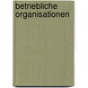 Betriebliche Organisationen door Sabine Liebert