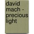David Mach - Precious Light
