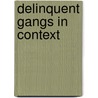 Delinquent Gangs in Context door Anneri Venter