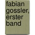 Fabian Gossler, erster Band