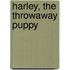 Harley, the Throwaway Puppy