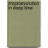 Macroevolution in Deep Time