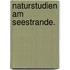 Naturstudien am Seestrande.