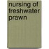 Nursing of Freshwater Prawn