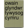 Owain Glyndwr Tywysog Cymru by Rhiannon Ifans
