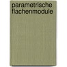 Parametrische Flachenmodule by Markus Schein