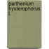 Parthenium Hysterophorus L.
