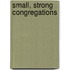 Small, Strong Congregations