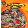 What Do Animals Do in Fall? door Rebecca Felix