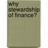 Why Stewardship of Finance? door Paul Jean Jorion
