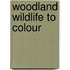 Woodland Wildlife to Colour