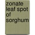 Zonate Leaf Spot of Sorghum
