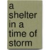 A Shelter in a Time of Storm