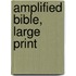 Amplified Bible, Large Print